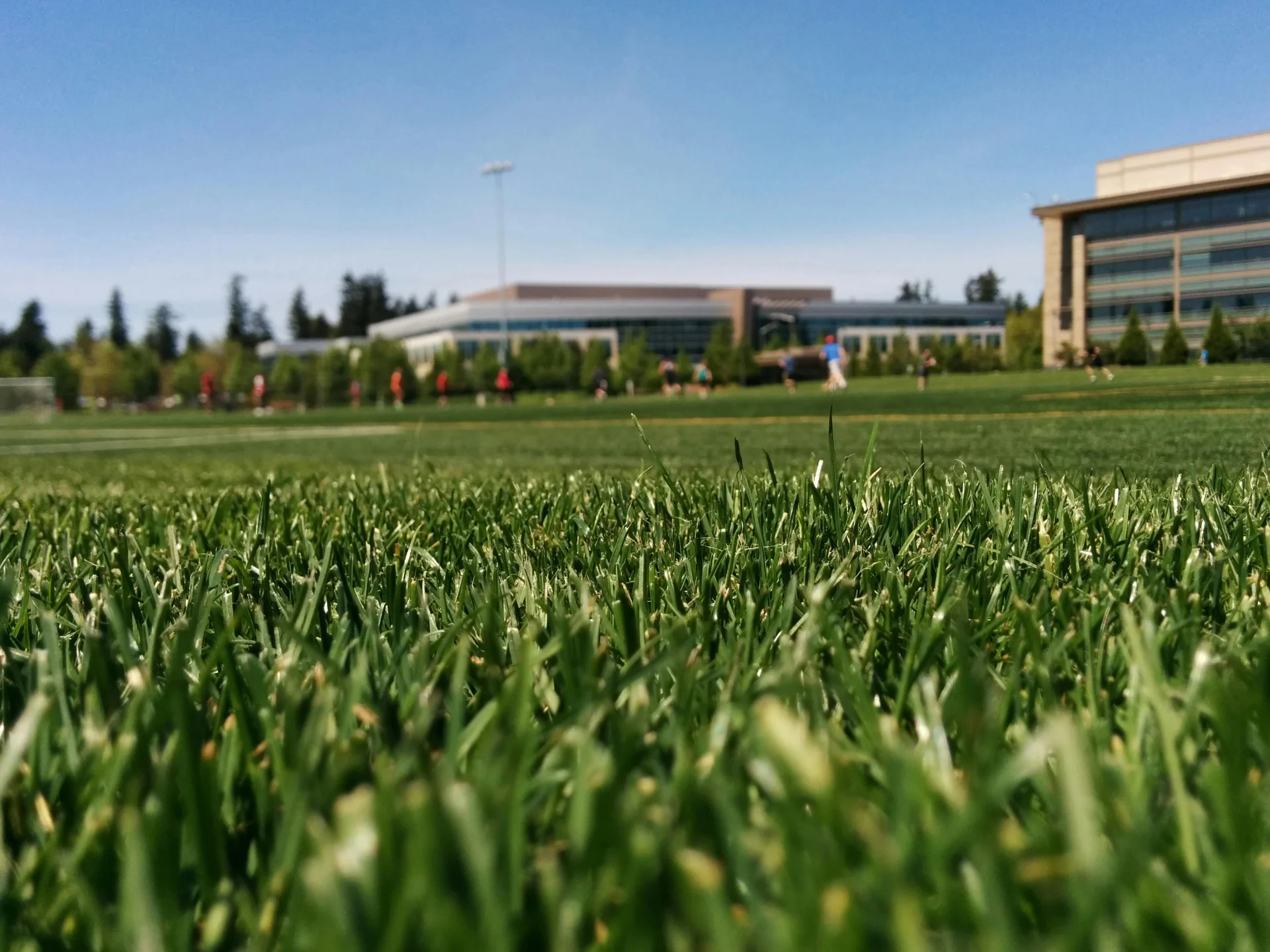 Landscaped grounds maintained by Lemus Landscaping